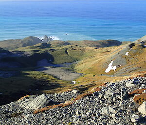 Empty royal penguin rookeries (bare ground) viewed from the OLT down towards Nuggets Point