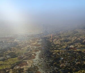 The OLT in the mist — lucky there’s a bright orange track marker to guide one.