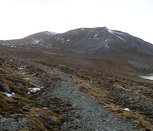 View Looking northeast on the OLT towards Mt Blair (365m) with Mt Elder in the background.