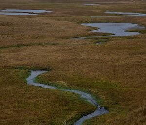 A vista of grass plain with various streams intercutting