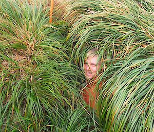 A man barely visible deep in the tussocks