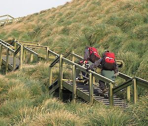 The men continue up the stairs