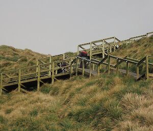 The men heading out of sight up the stairs