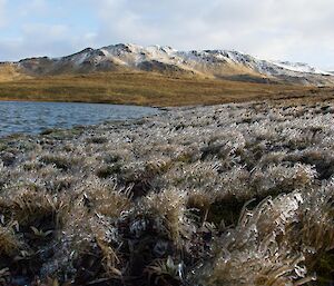 Frozen spray from Concord Lake in front of Mt Eitel