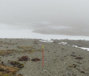 An orange track marker visible in the fog of the track