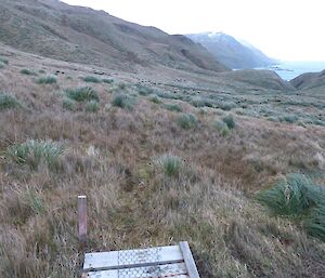 A grassy view with an old track marker barely visible