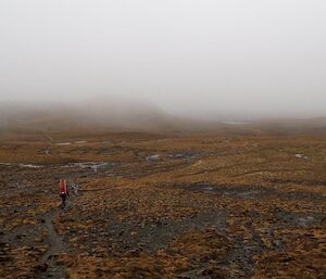 A person walking across the plateau