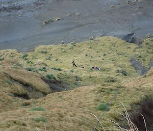 A man at the bottom of a steep slope hauling on a rope