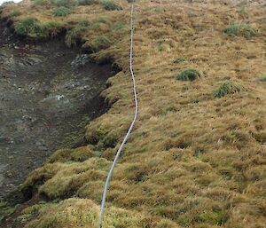 3 men at the top of a slope with a pipe running down it.