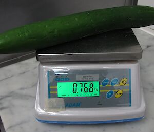 A cucumber weighs in at 768 grams