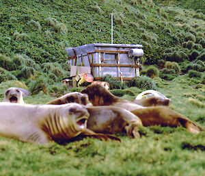 Sandy Bay hut in 1968