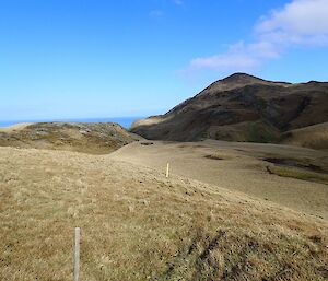 The undulating, grassy slopes of the ABC Track proved a better location to enjoy lunch