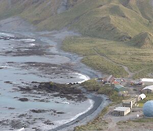 And now along the east coast, the harems are more pronounced. A good sized one has developed down near Landing Beach