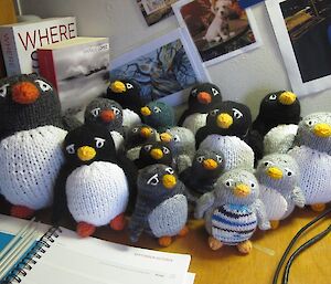 A group of knitted penguins