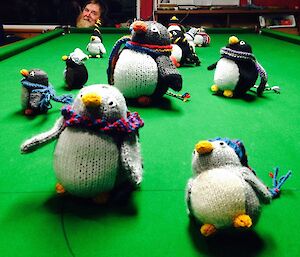 Knitted penguins in football colours