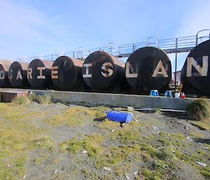 Faded ‘Macquarie Island’ signage on the fuel farm