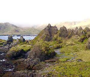 A panoramic view of the Labyrinth, rocks, vegetation and water