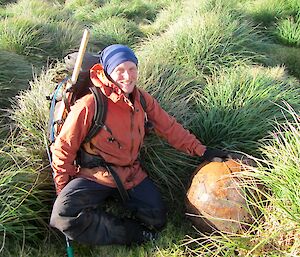 An expeditioner finds a rusty ball in amongst the tussock