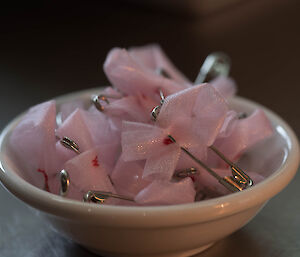 A bowl of pink ribbons for the expeditioners to wear