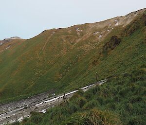 The escarpment overlooking Hurd Point