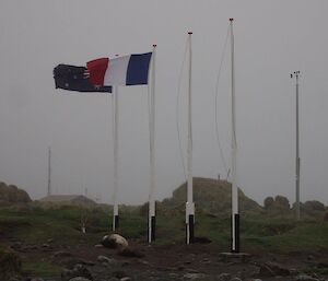 The French flag flying on our freshly painted flagpoles for the ship