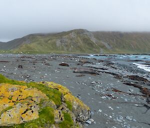 A view of West Beach looking down from the clean air lab in our normal photo point. A few male seals resting up with two young weaners also visible.