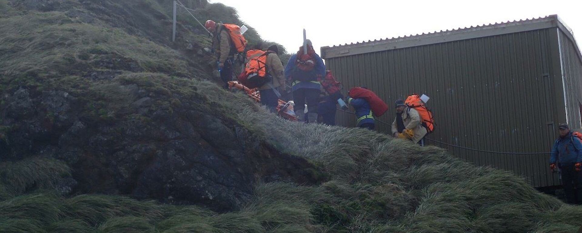 A group of expeditioners walking up the hills with loads