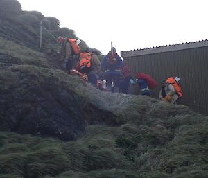 A group of expeditioners walking up the hills with loads