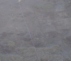 The stretcher team with stretcher at the bottom of the cliff