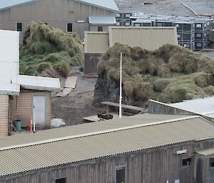 A view of the station with the new sundeck.