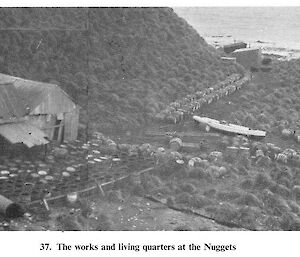 A view of the old living quarters at Nuggets in 1913 looking out to the cove