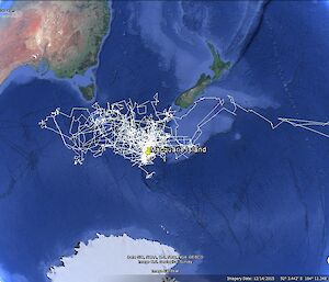 Satellite image of the data coming back from the trackers