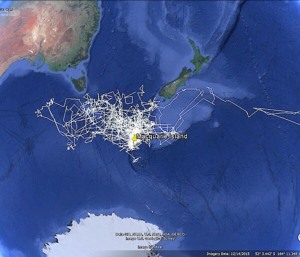 Satellite image of the data coming back from the trackers