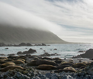 Orographic Stratus nebulosus sitting on the island above Handspike corner.