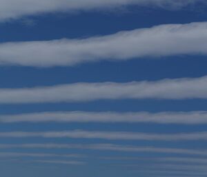 Mid level clouds (Altocumulus) that look like lines in the sky.