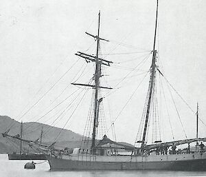 The Jessie Nichol at Dunedin