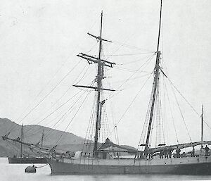 The Jessie Nichol at Dunedin