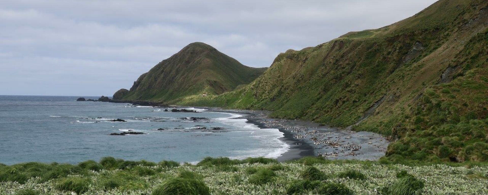 A view looking along Sandy Bay at Brothers Point