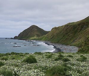 A view looking along Sandy Bay at Brothers Point