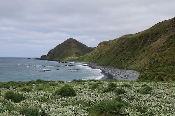 A view looking along Sandy Bay at Brothers Point