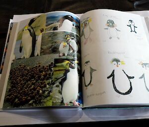 A book with children’s drawings of penguins