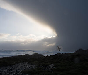 Storm cloud approaching.