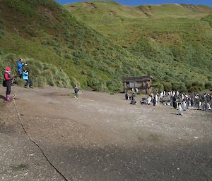 Passengers from the Professor Khromov at the Sandy Bay king penguin colony