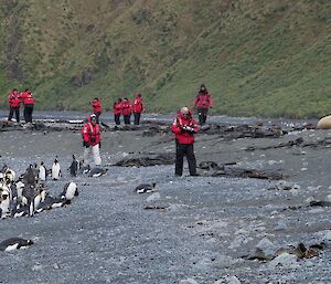 Passengers from L'Austral coming along the beach at Sandy Bay armed to the teeth