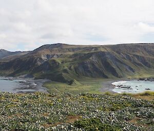 Looking at the island from North Head, the ridges are evident and Precipitous Bluff on the west coast is an example of where all the rock has eroded from the rugged face to now become the beach cobble.