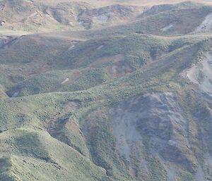 A close up of the dreaded Doctor’s track showing the ridges on the rise.