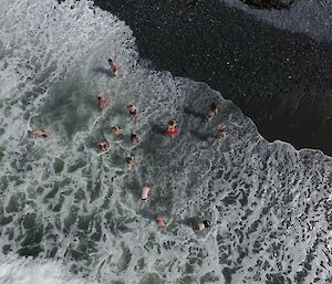 An aerial shot of our swimmers in the water.