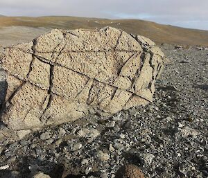 Fine grained intrusive rock outcrops with spectacular veins of other minerals standout boldly in the landscape on the windswept plateau north of Mt Elder.