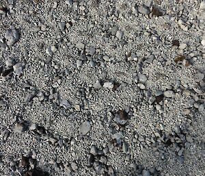 Geometrical patterns observed on the windswept plateau terraces near North Mountain are created by cyclical freeze thaw processes. This process results in a very gradual ‘sorting’ of the rocks over time.