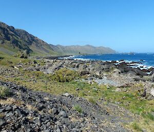 The exposed west coast of Southern Macquarie Island bears testimony to the rugged power of nature. Thousands of years of exposure to the elements has carved steep cliffs and promoted the development of extensive gravel scree slopes and boulder dominated coastlines.